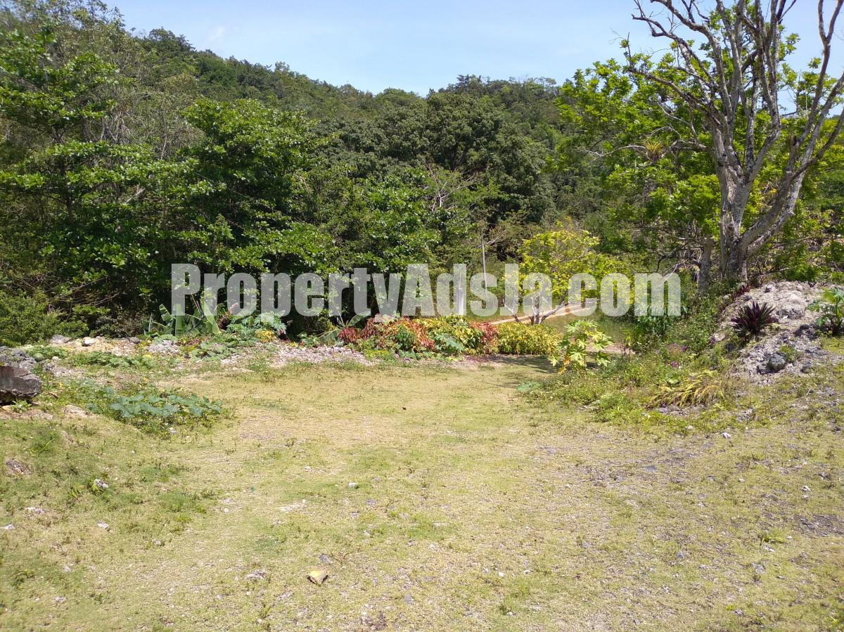 House For Sale in Retreat Browns Town, St. Ann Jamaica