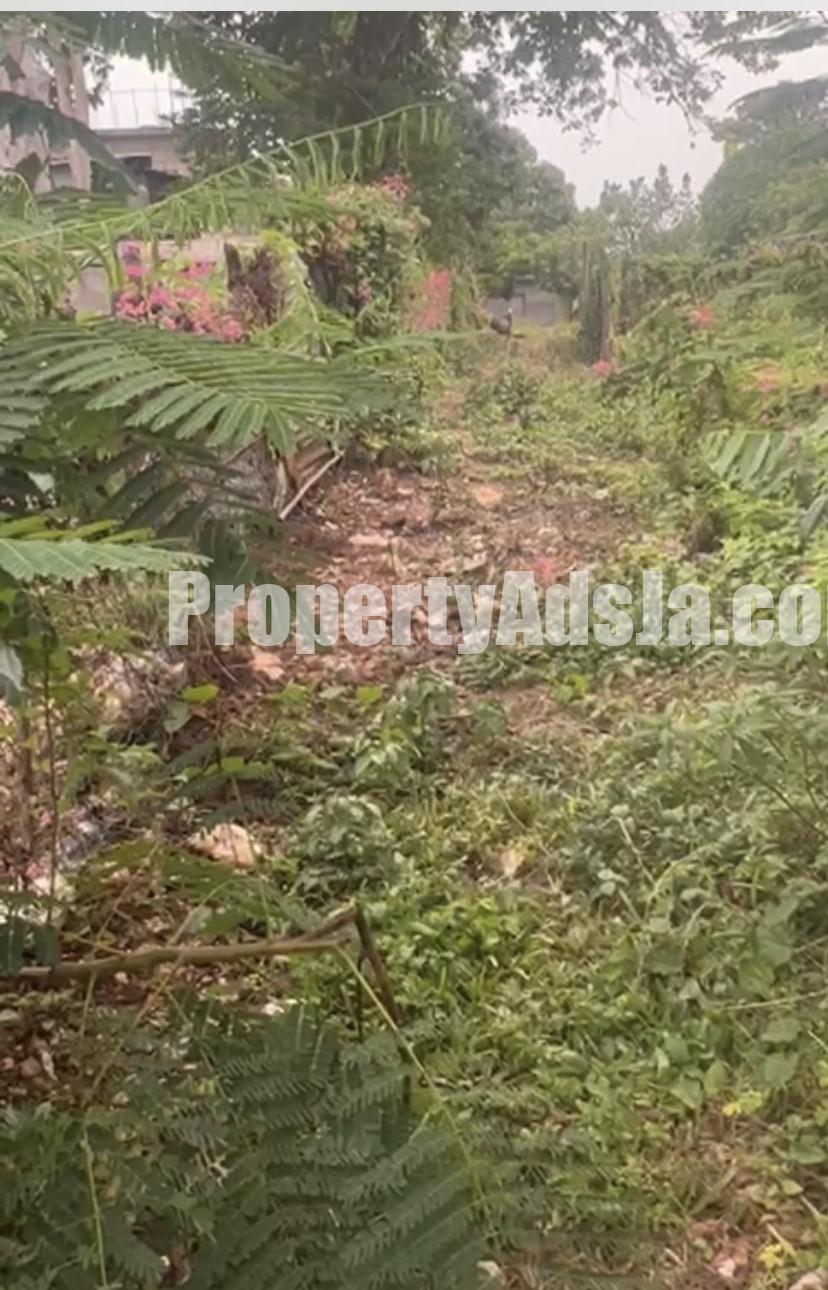 Residential lot For Sale in Dry Hill Duncan, Trelawny Jamaica