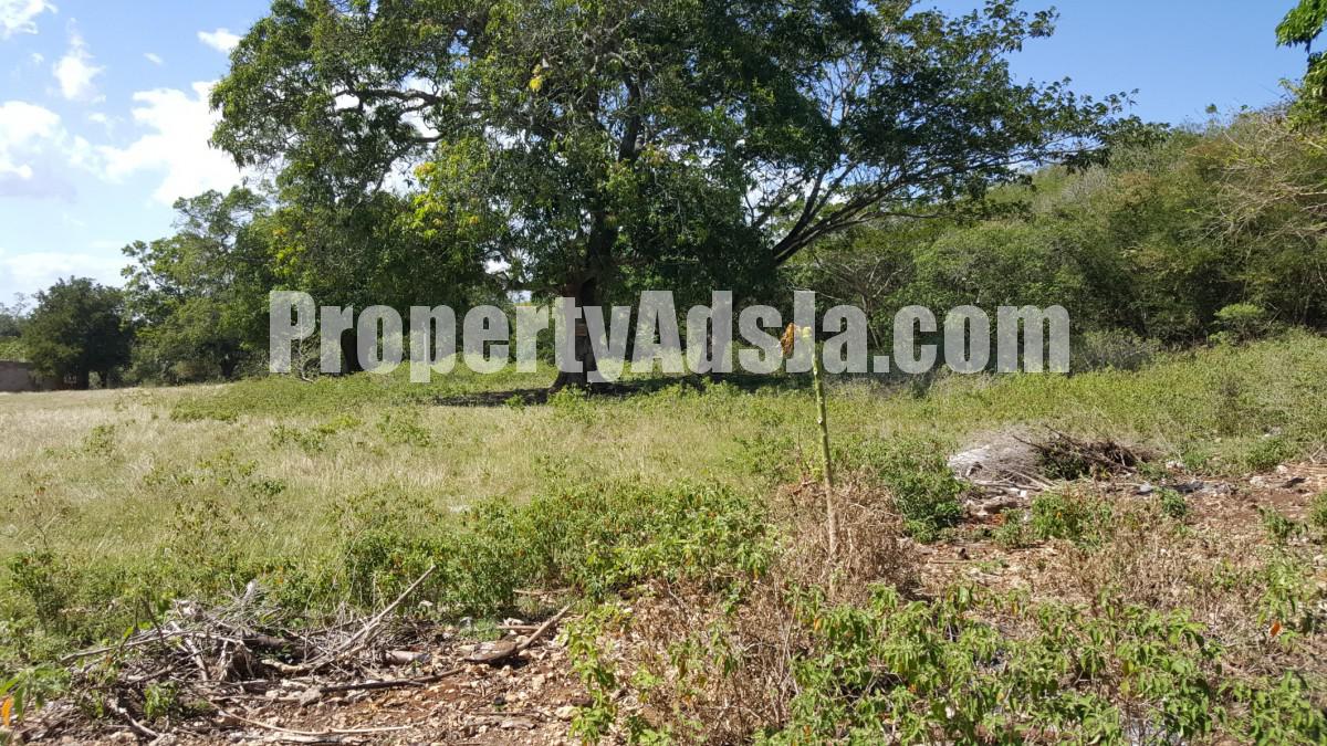 Residential lot For Sale in Pepper, St. Elizabeth Jamaica