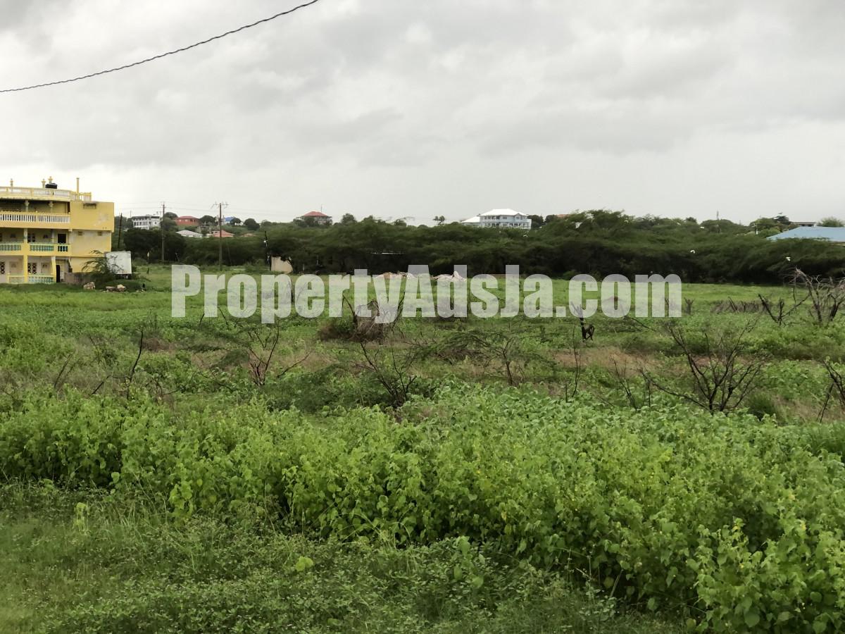 Residential lot For Sale in Treasure Beach, St. Elizabeth Jamaica