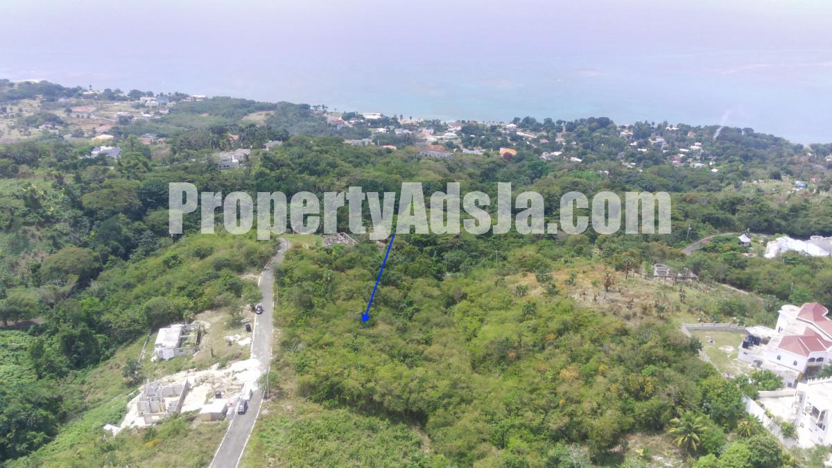 Residential lot For Sale in Whitehouse, Westmoreland Jamaica