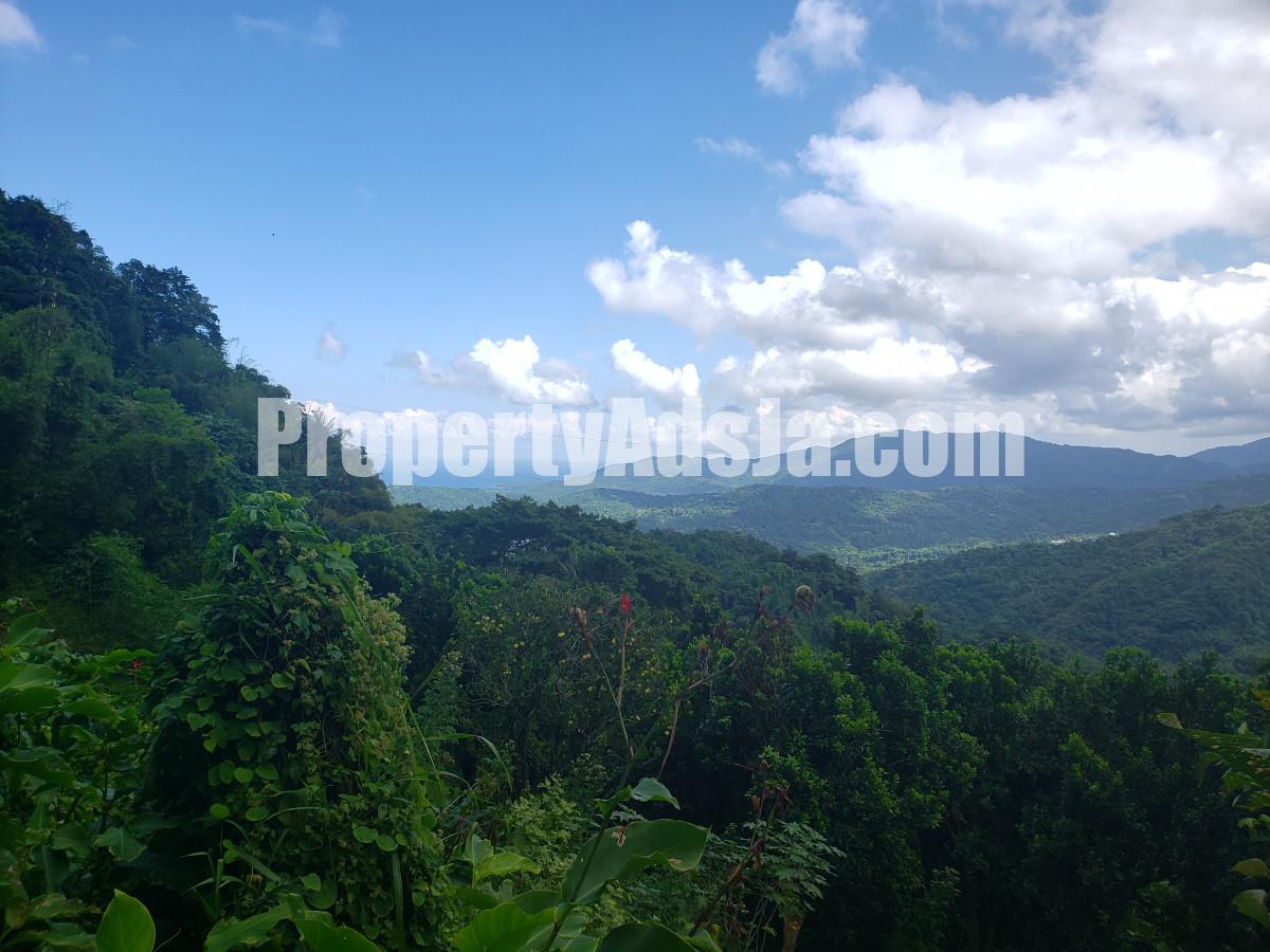 For Sale in Camberwell, St. Mary Jamaica