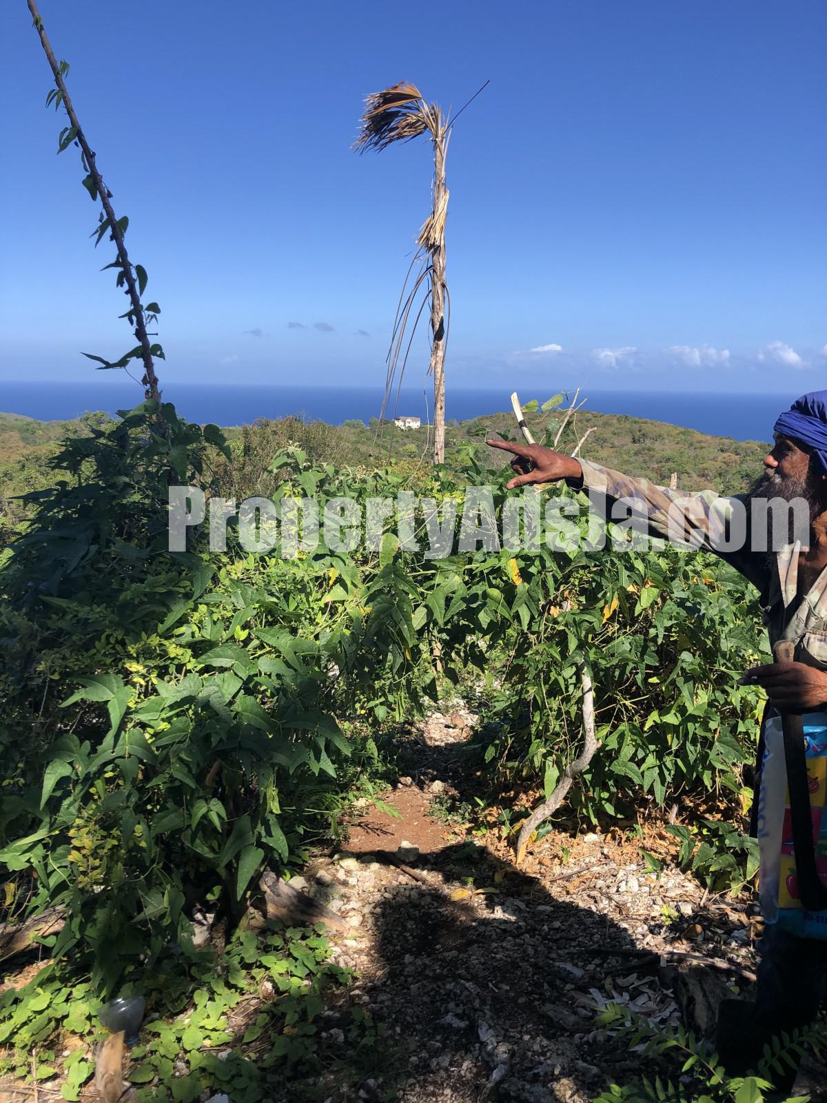 Commercial/farm land For Sale in Lances Bay, Hanover Jamaica