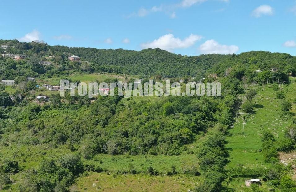 Land For Sale in Chudleigh Walderston PO, Manchester Jamaica