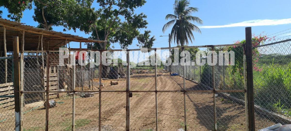 Commercial/farm land For Sale in Bushy Park, St. Catherine Jamaica