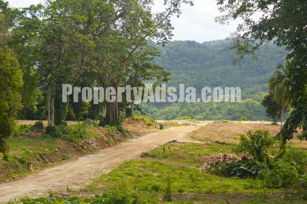 House For Sale in GAYLE, St. Mary Jamaica