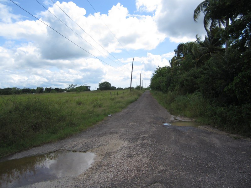 Commercial/farm land For Sale in Osbourne Store, Clarendon Jamaica
