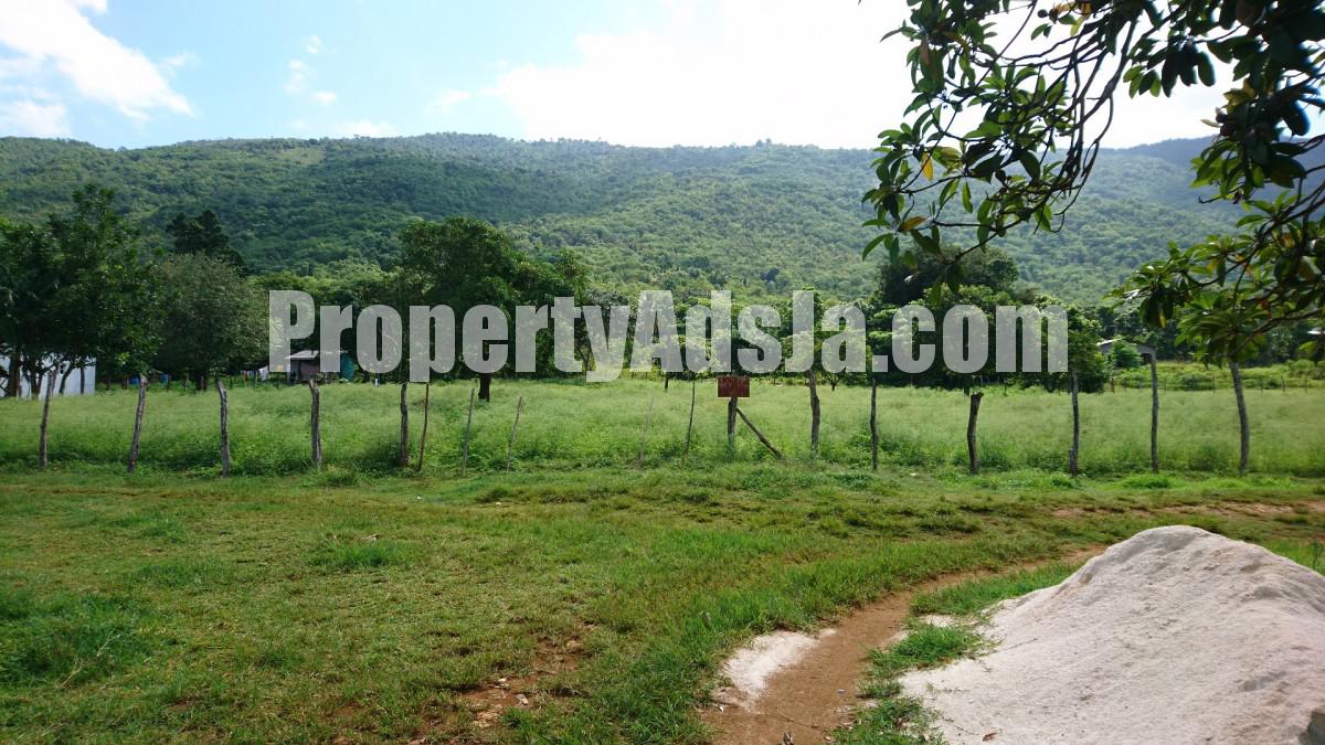 Residential lot For Sale in Orange Grove, St. Elizabeth Jamaica
