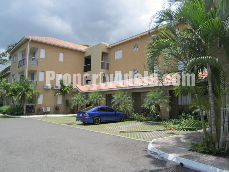Apartment For Rent in Kingston 6, Kingston / St. Andrew Jamaica