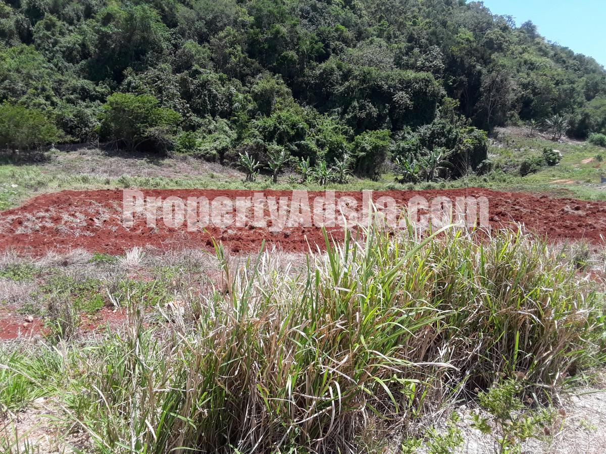 Residential lot For Sale in Southfield, St. Elizabeth Jamaica