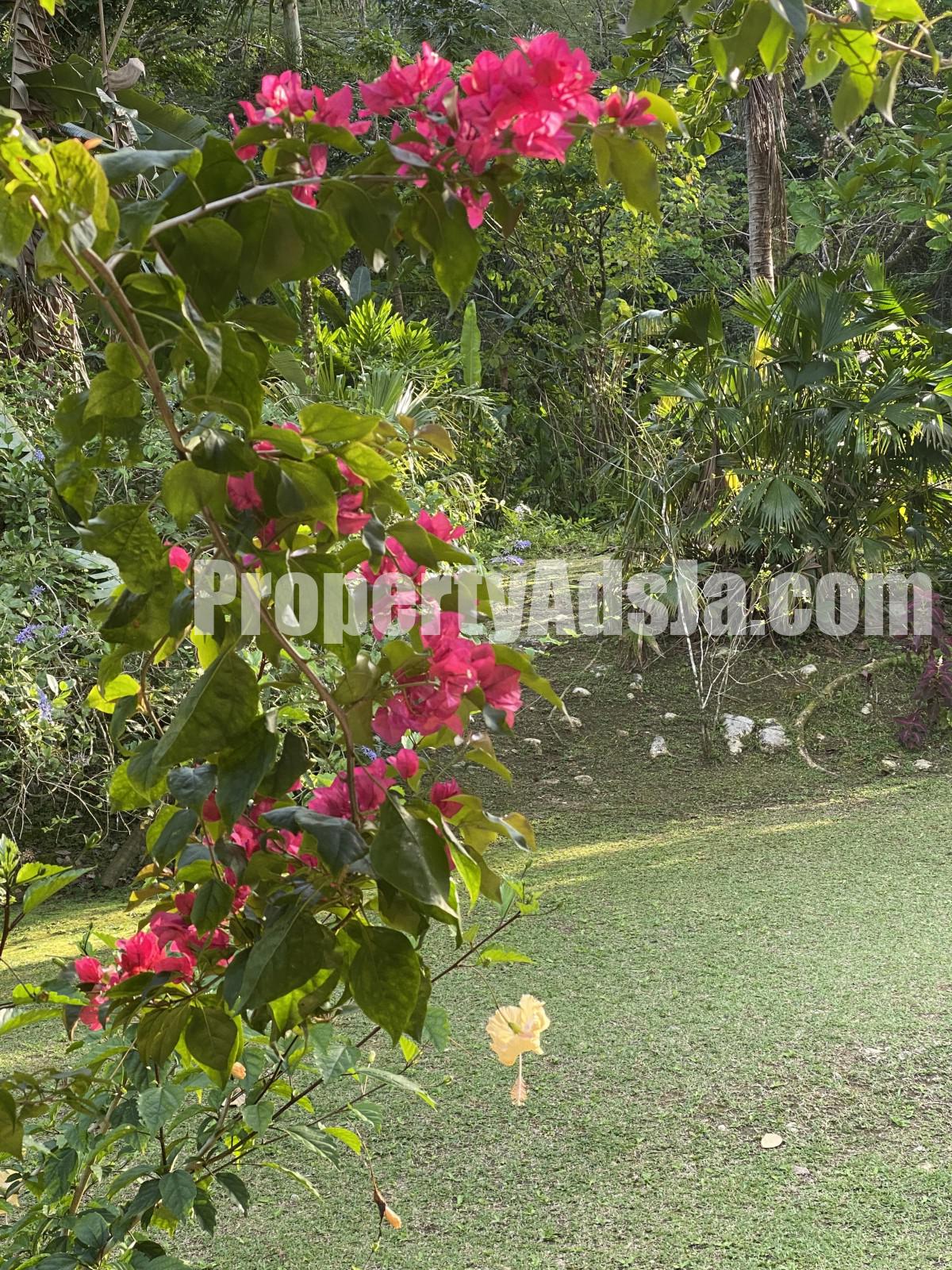 House For Sale in Nonsuch, Portland Jamaica