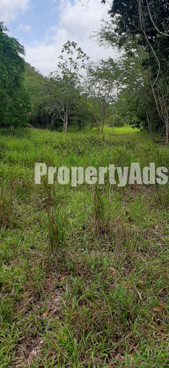 Commercial/farm land For Sale in Off Spanish Town or Kitson Town, St