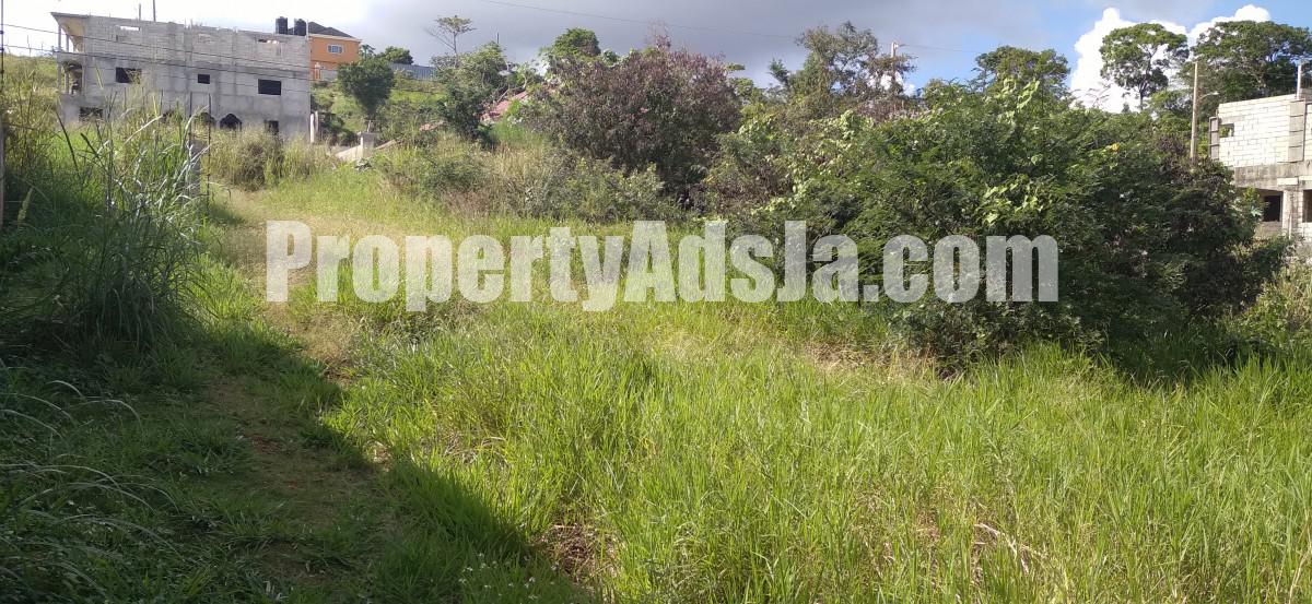 Land For Sale in Mandeville, Manchester Jamaica