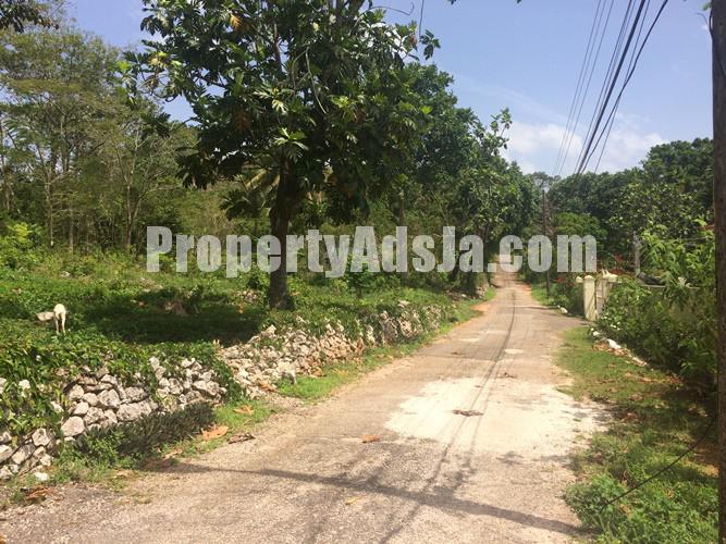 Residential lot For Sale in Mandeville, Manchester Jamaica