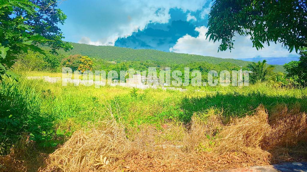 House For Sale in Top Hill St Elizabeth, St. Elizabeth Jamaica