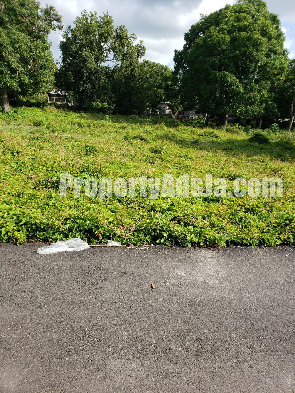 Land For Sale in Lionel town, Clarendon Jamaica