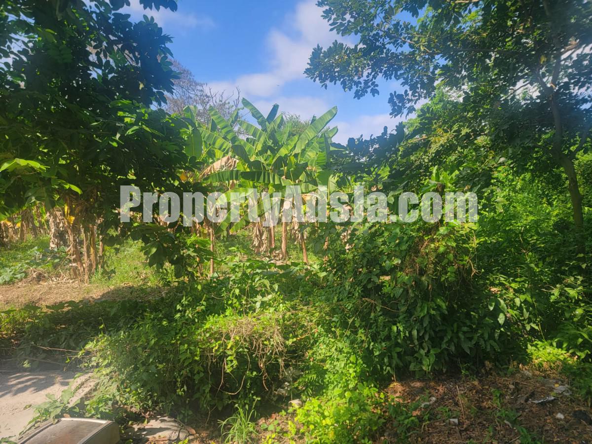 Commercial/farm land For Sale in Old Harbour, St. Catherine Jamaica