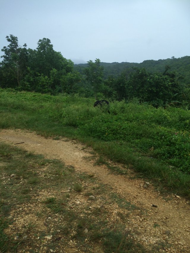 Residential lot For Sale in Balaclava, St. Elizabeth Jamaica