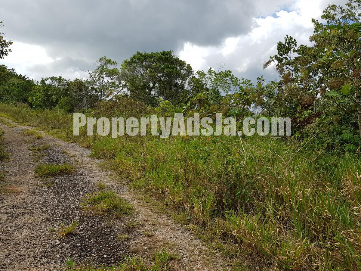 Residential lot For Sale in Kingsland, Manchester Jamaica