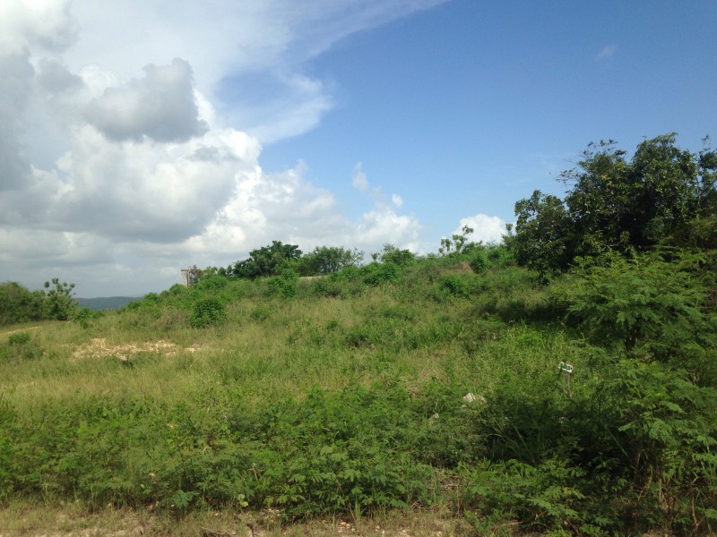 Residential lot For Sale in Twin Palms Estate, Clarendon Jamaica