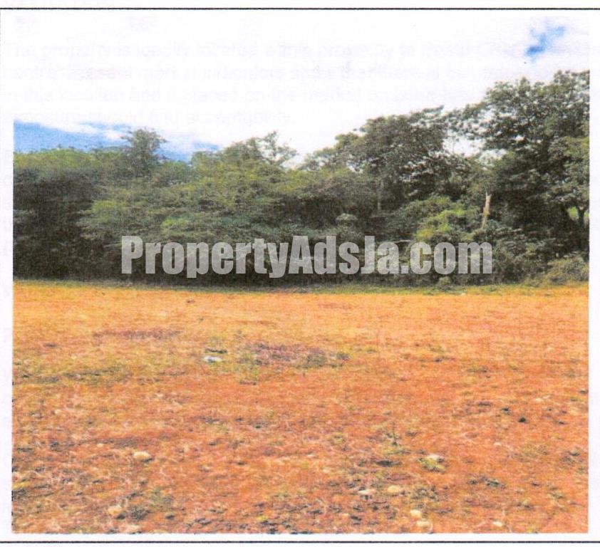 Residential lot For Sale in Elim District, St. Elizabeth Jamaica