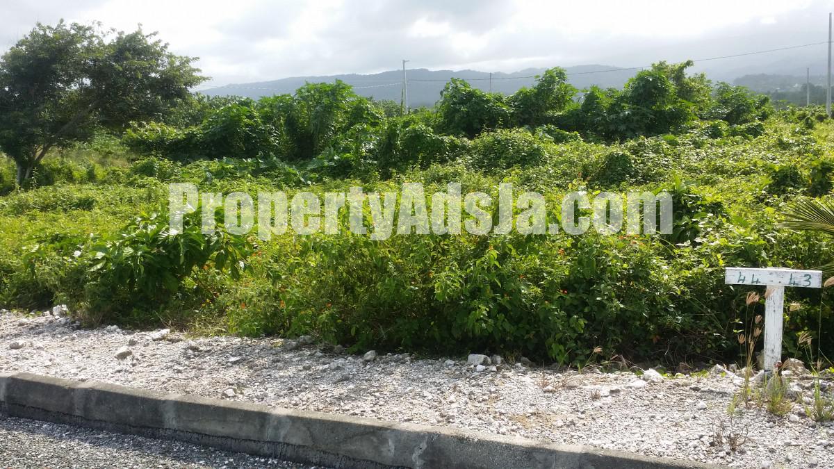 Residential lot For Sale in Fairy Hill, Portland Jamaica