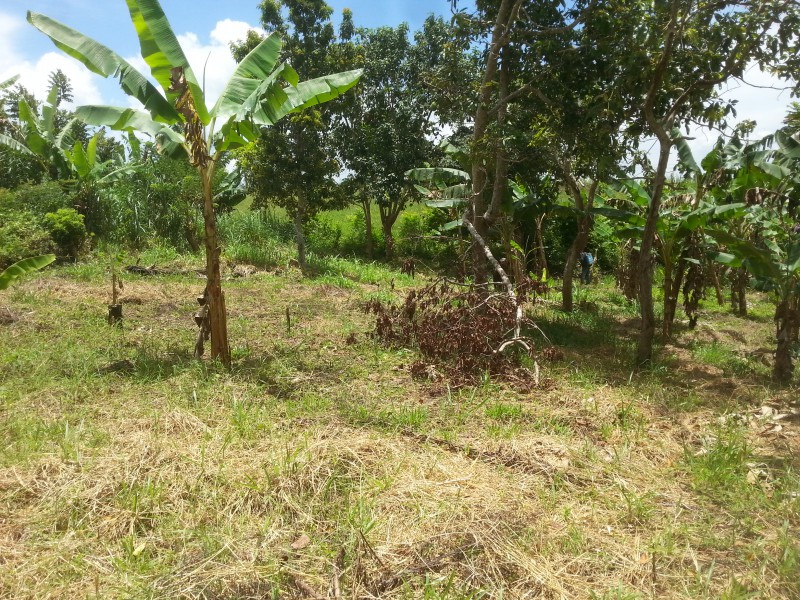 Residential lot For Sale in Glencoe Meadows Spaldings, Manchester