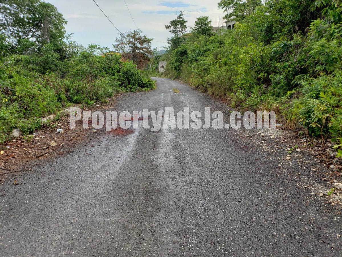 Residential lot For Sale in Spring Valley Estate, St. Mary Jamaica