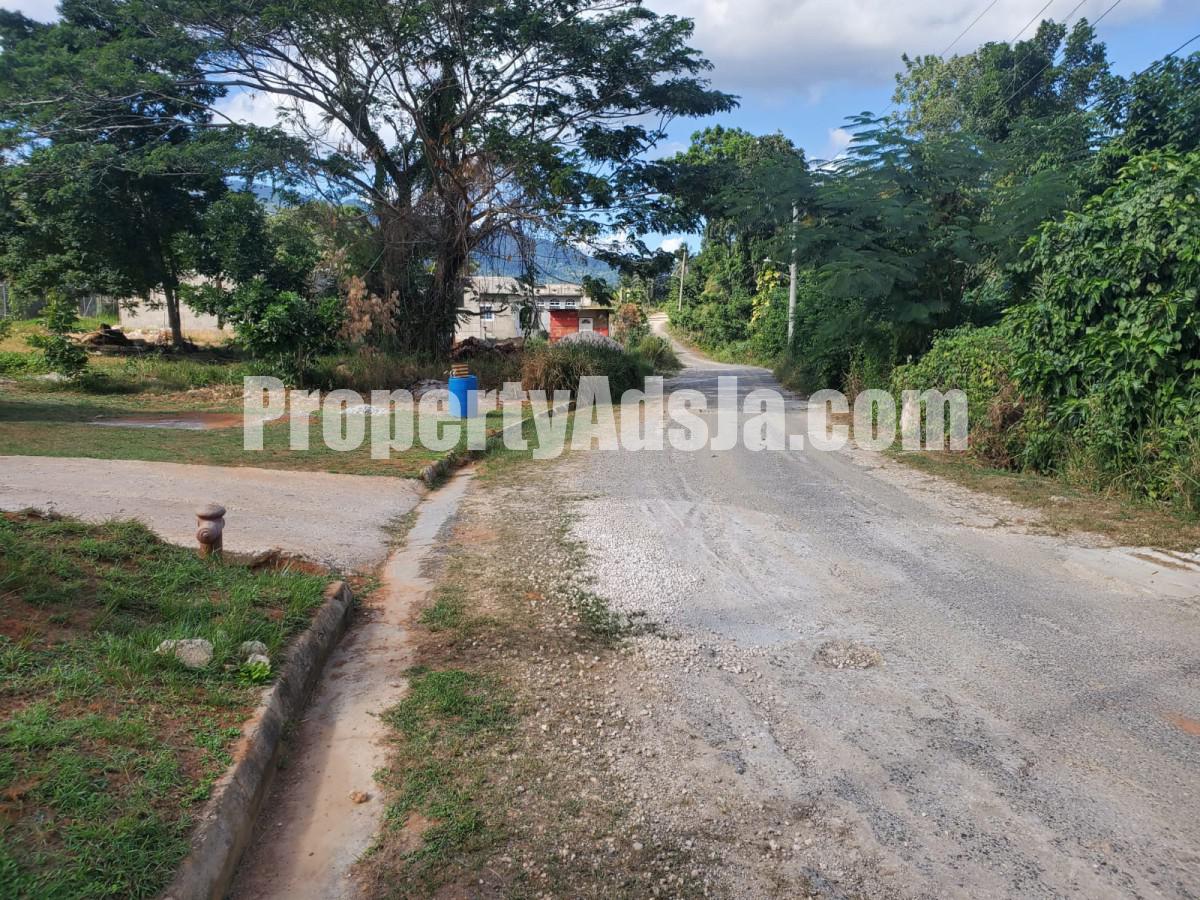 Commercial/farm land For Sale in Orangefield Ewarton, St. Catherine