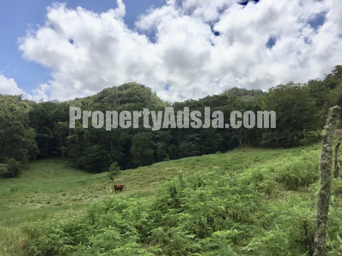 Residential lot For Sale in Chippenham Park Bamboo, St. Ann Jamaica