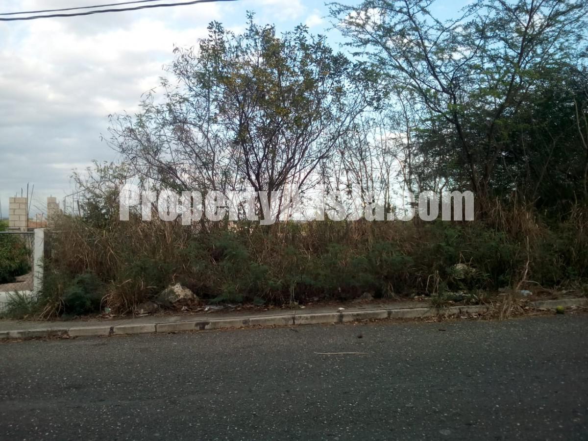 Residential lot For Sale in LONGVILLE PARK, Clarendon Jamaica