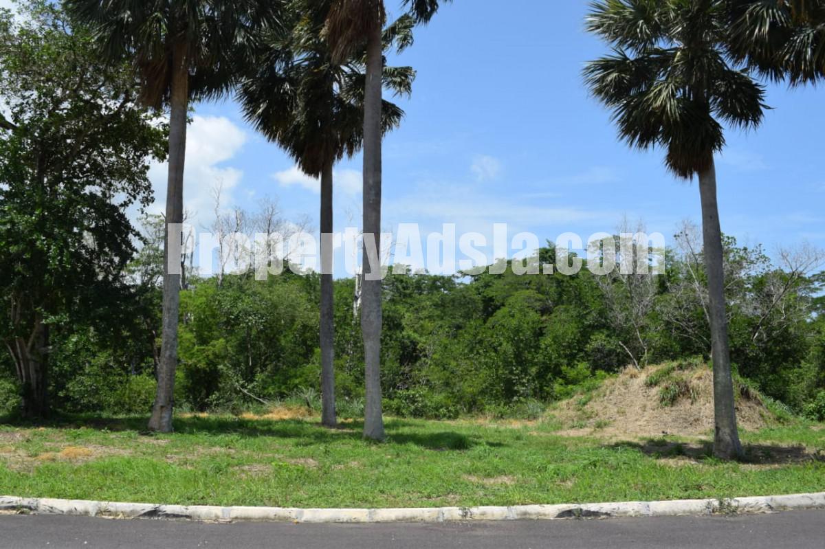 Residential lot For Sale in Barnes Whitehouse, Westmoreland Jamaica