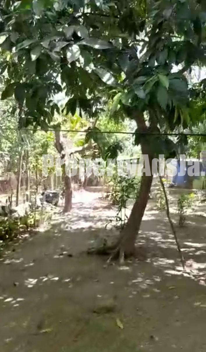 House For Sale in Albion, St. Thomas Jamaica