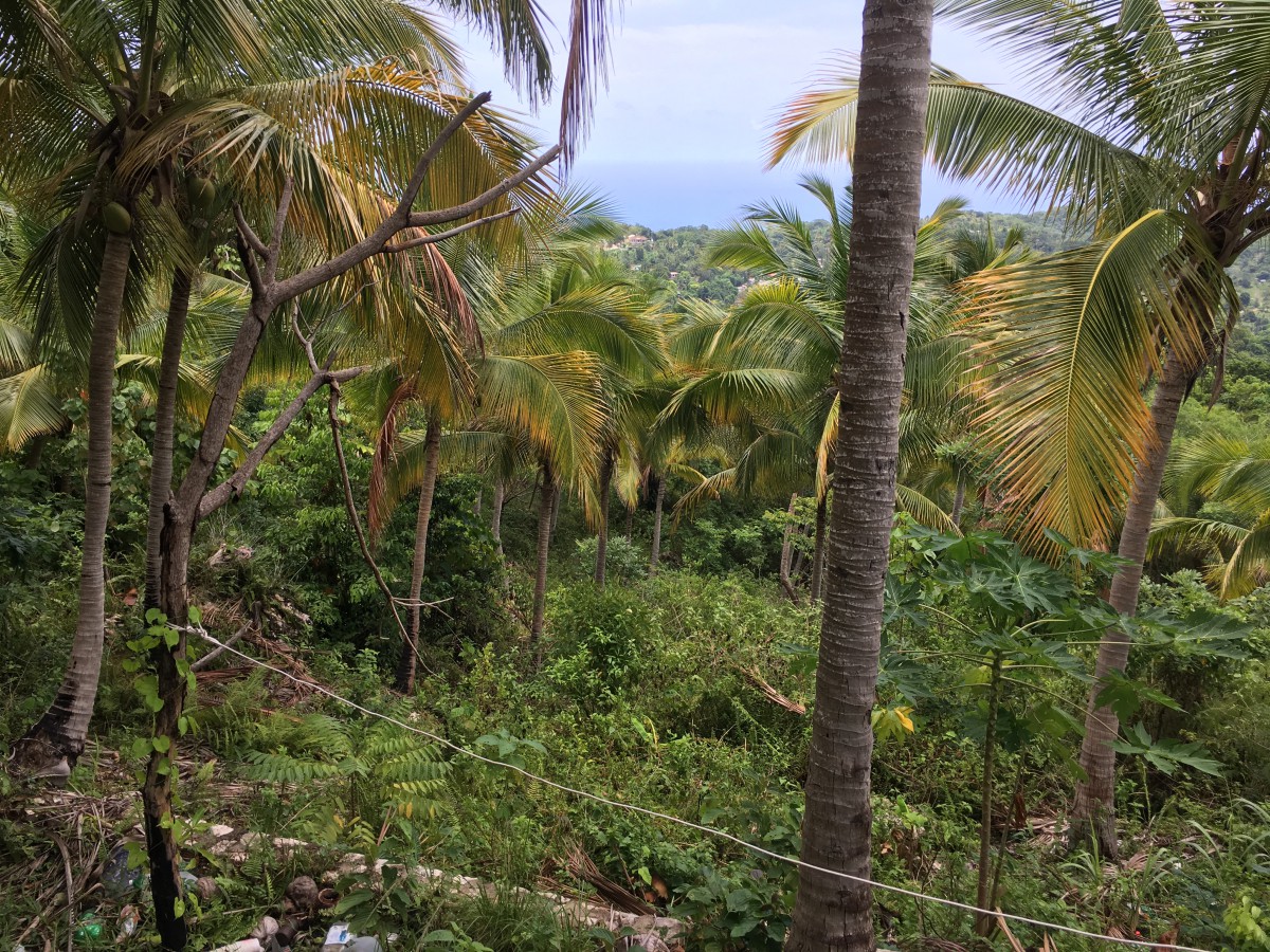 Residential lot For Sale in Sandy Bay, Hanover Jamaica