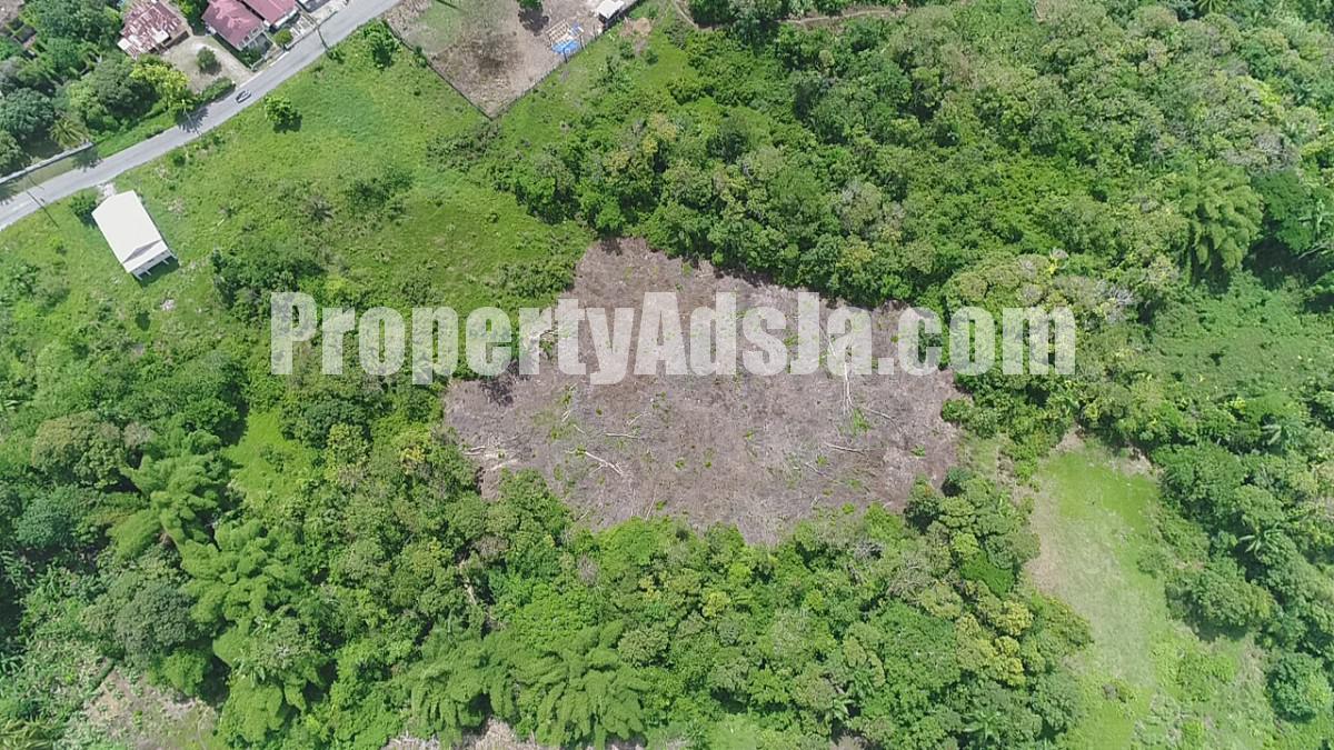 Commercial/farm land For Sale in Highgate, St. Mary Jamaica