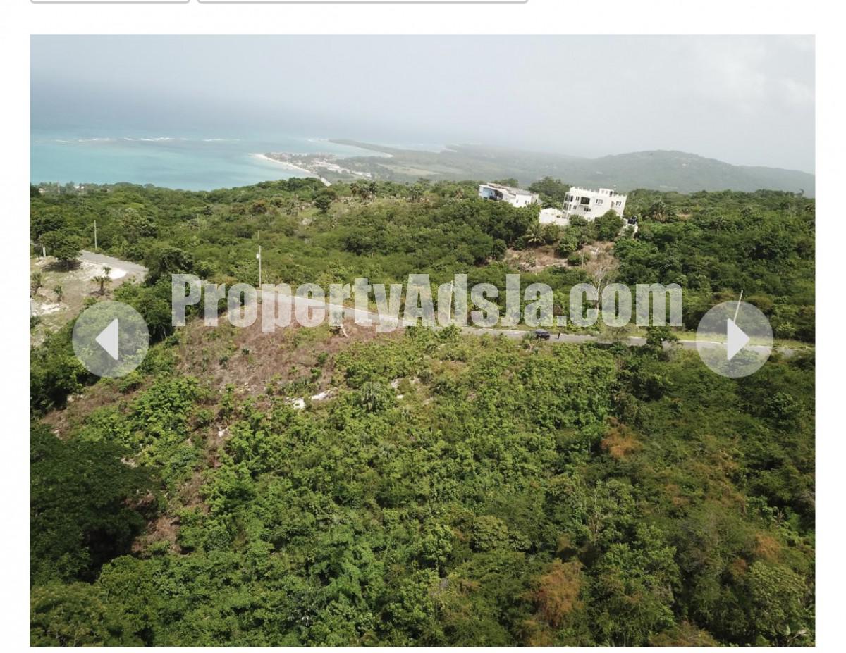 Land For Sale in Whitehouse, Westmoreland Jamaica