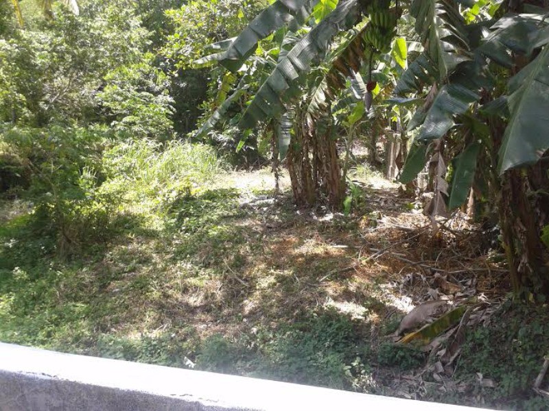 Commercial/farm land For Sale in Highgate, St. Mary Jamaica