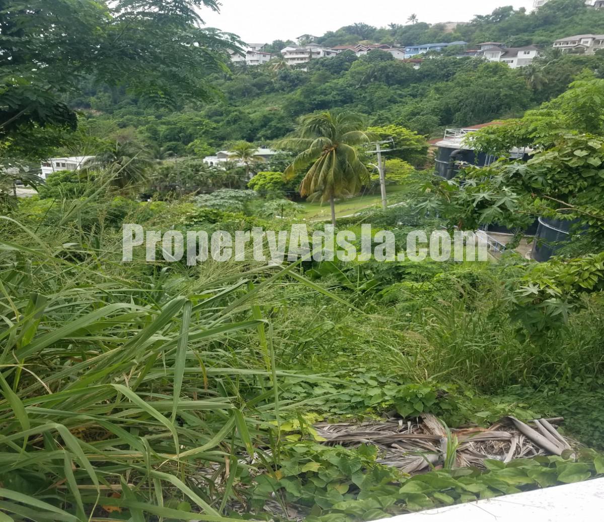 Land For Sale in Belgrade Heights, Kingston / St. Andrew Jamaica