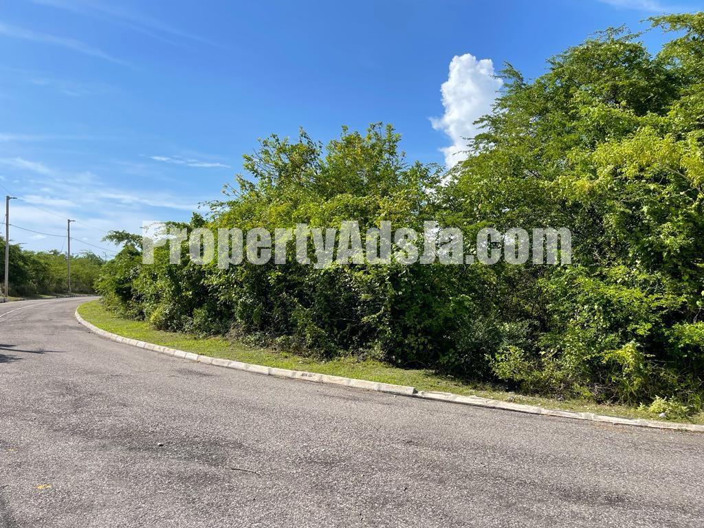 Land For Sale in Lacovia, St. Elizabeth Jamaica