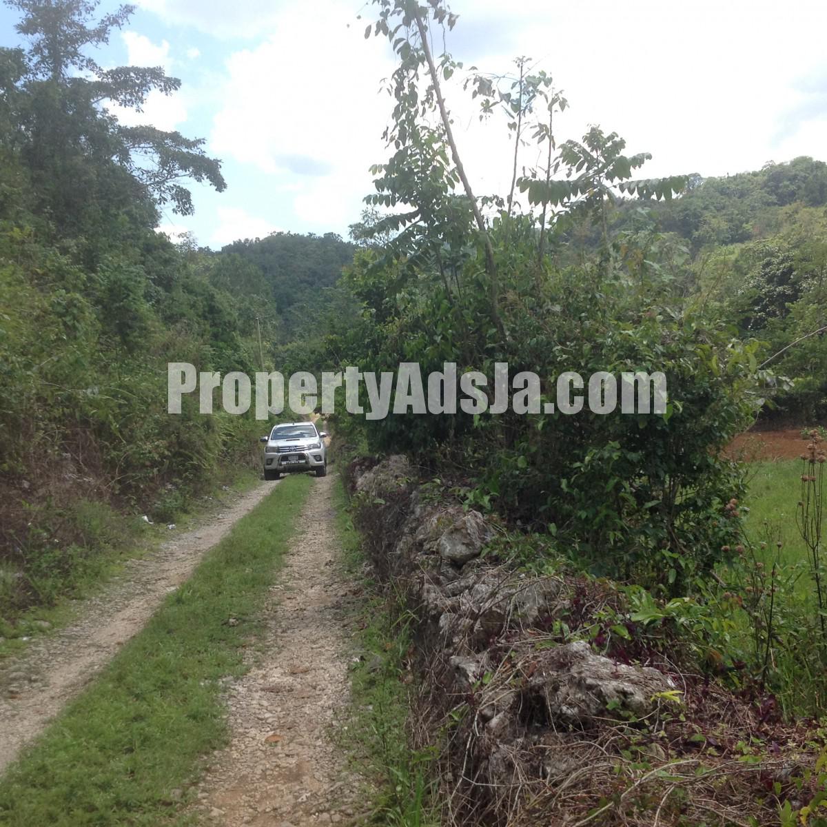 Residential lot For Sale in Mile Gully, Manchester Jamaica