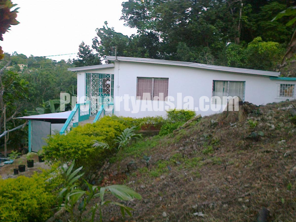 Land For Sale in Browns Town, St. Ann Jamaica