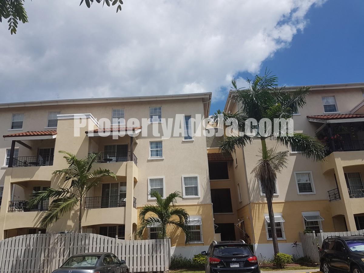 Apartment For Rent in Kingston 10, Kingston / St. Andrew Jamaica