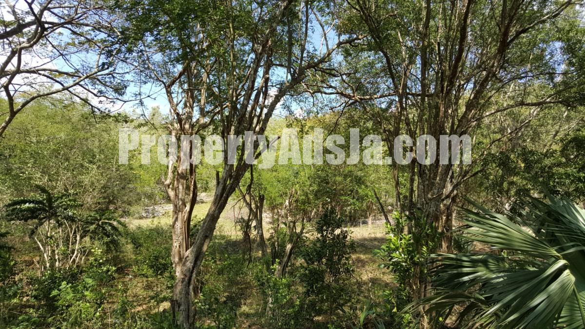 Residential lot For Sale in Pepper, St. Elizabeth Jamaica