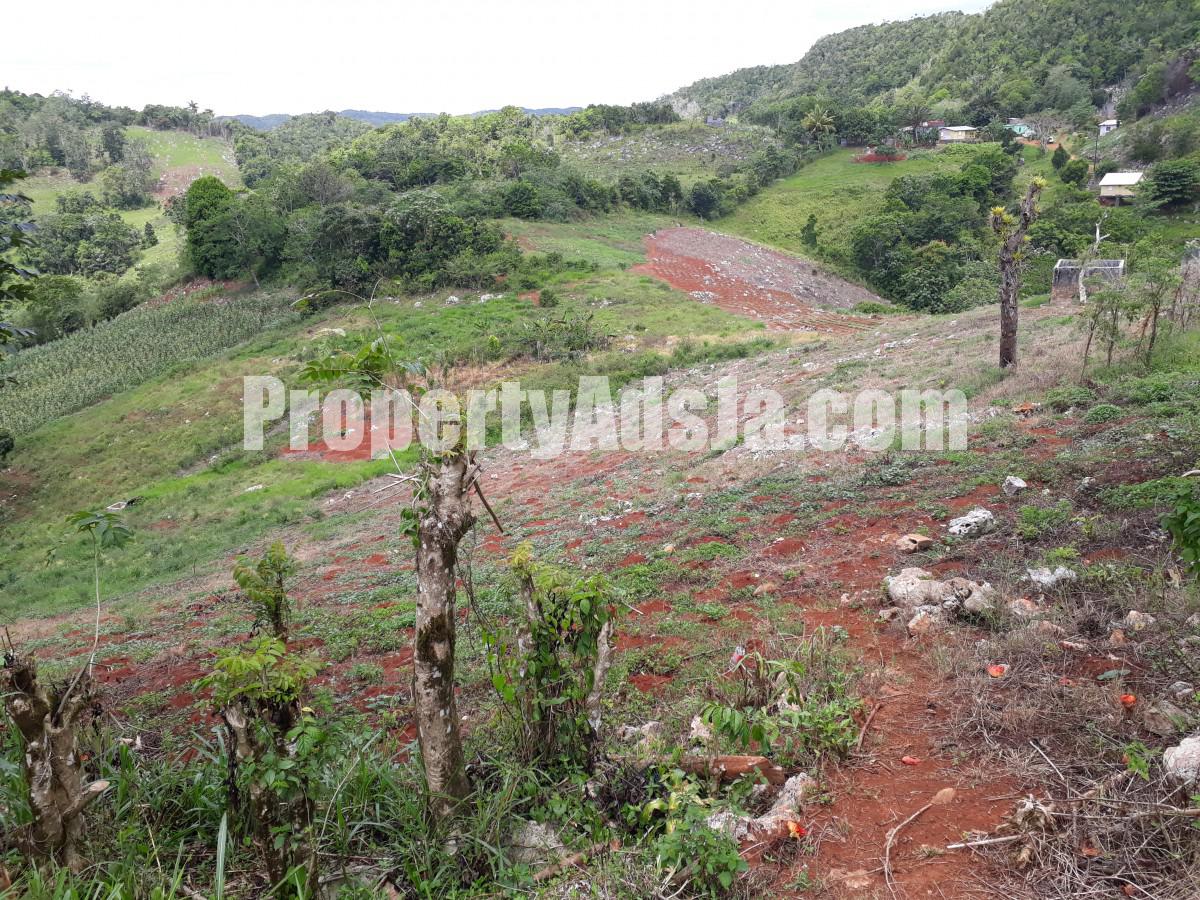 Residential lot For Sale in Lumsden, St. Ann Jamaica