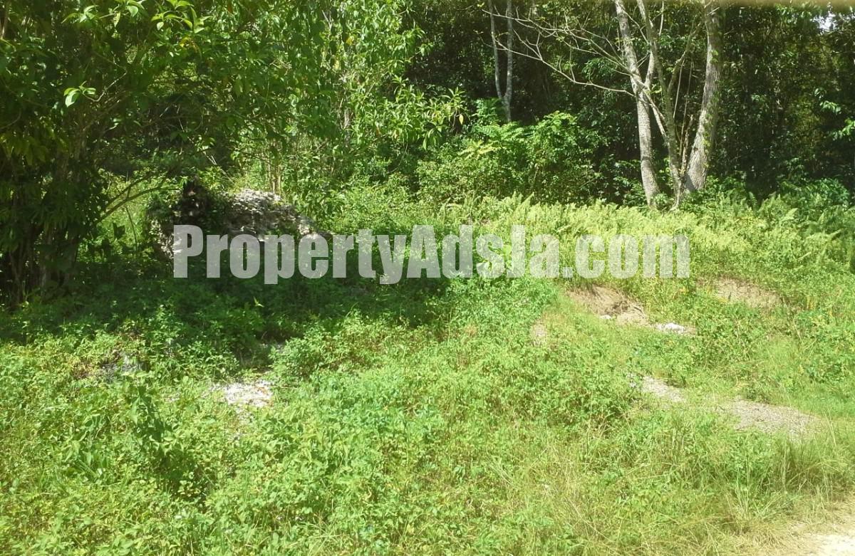 Residential lot For Sale in Moneague, St. Ann Jamaica