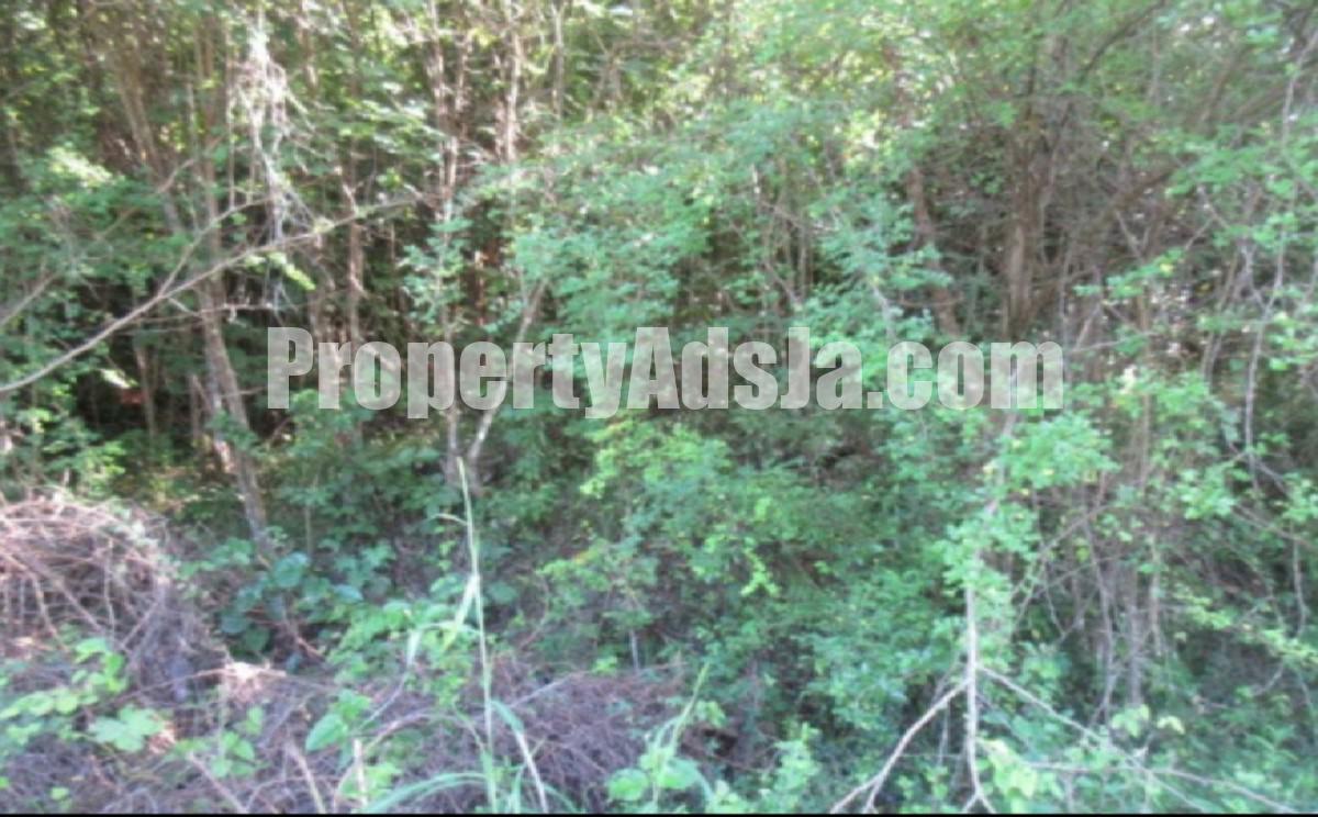 Residential lot For Sale in WHITEHALL, Westmoreland Jamaica