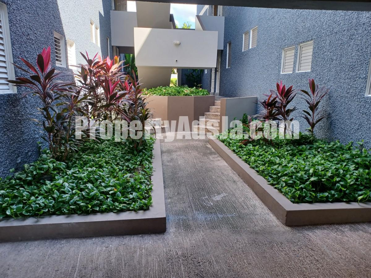 Constant Spring Apartments Apartment For Rent in Constant Spring, Kingston / St. Andrew Jamaica ...