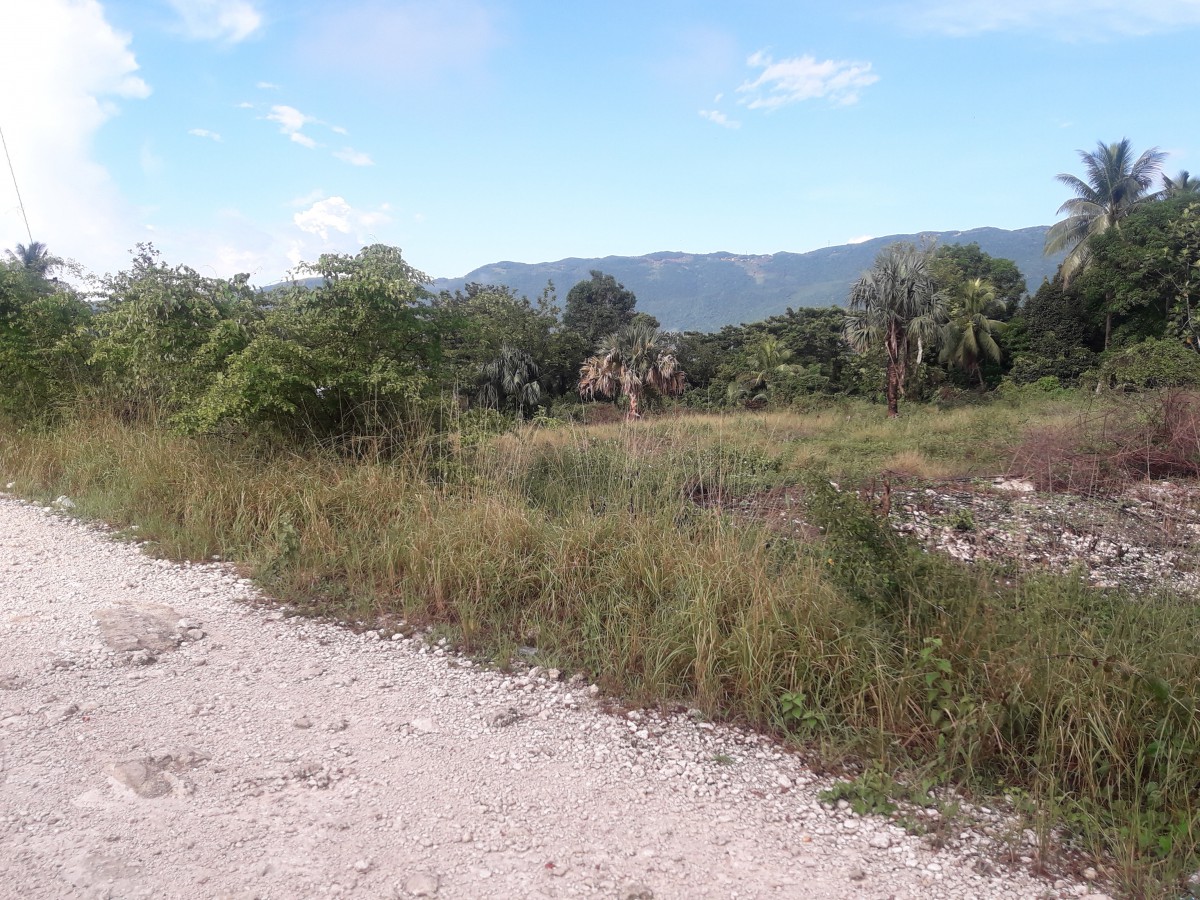 Residential lot For Sale in Goshen, St. Elizabeth Jamaica