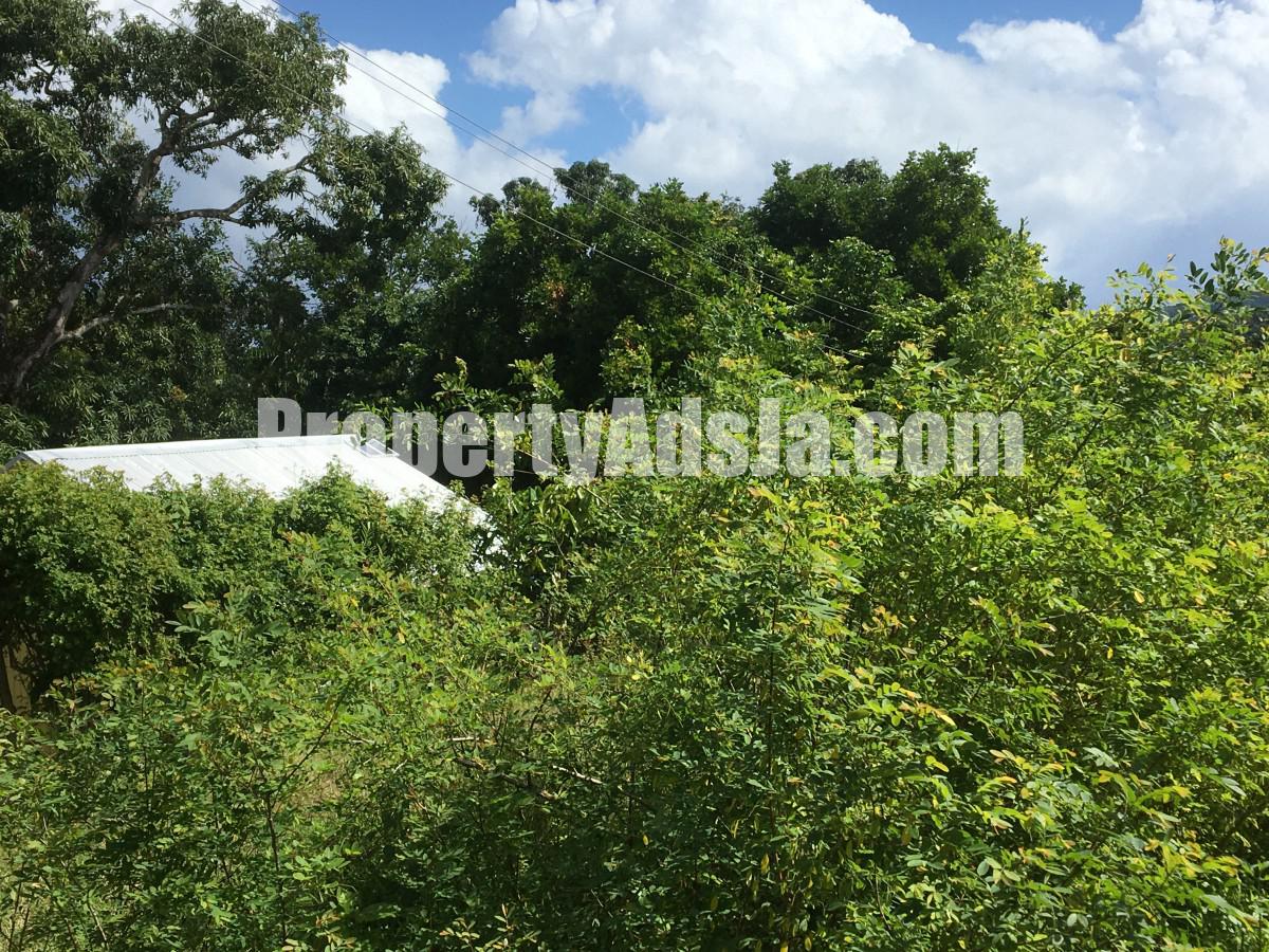 Commercial/farm land For Sale in Port Maria, St. Mary Jamaica