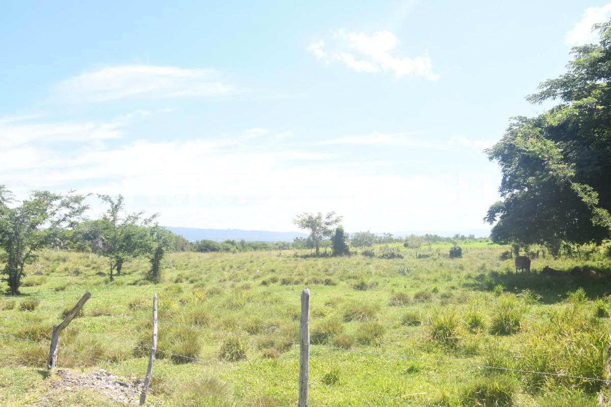 Commercial/farm land For Rent in Black River, St. Elizabeth Jamaica